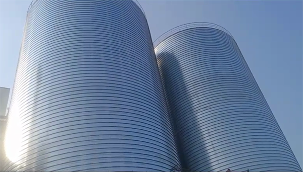 确山2座混凝土高架卷板仓